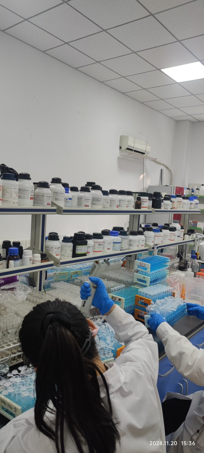 实验室展示